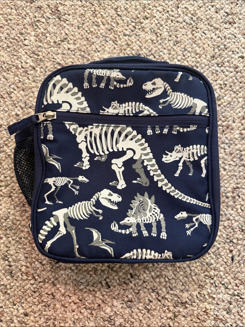 Pottery barn Kids dinosaur lunch box